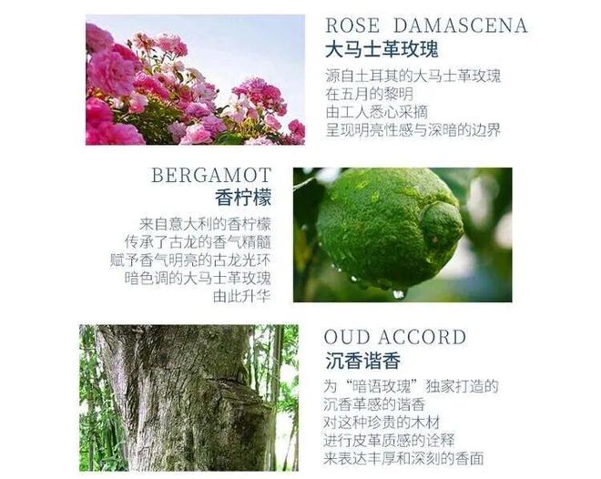 香水、身体炸划算还有节日限定香薰、香包不朽情缘平台登录网页香香好物丨欧珑正装(图18)