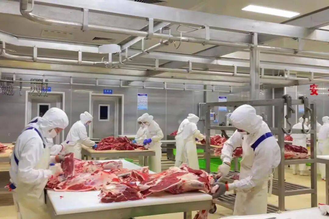 背后的寻甸乡村振兴“牛文章”不朽情缘首页一份“体检报告”(图1)