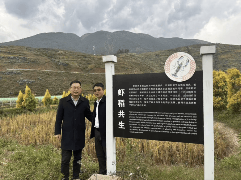 背后的寻甸乡村振兴“牛文章”不朽情缘首页一份“体检报告”(图2) 背后的寻甸乡村振兴“牛文章”不朽情缘首页一份“体检报告”(图2)